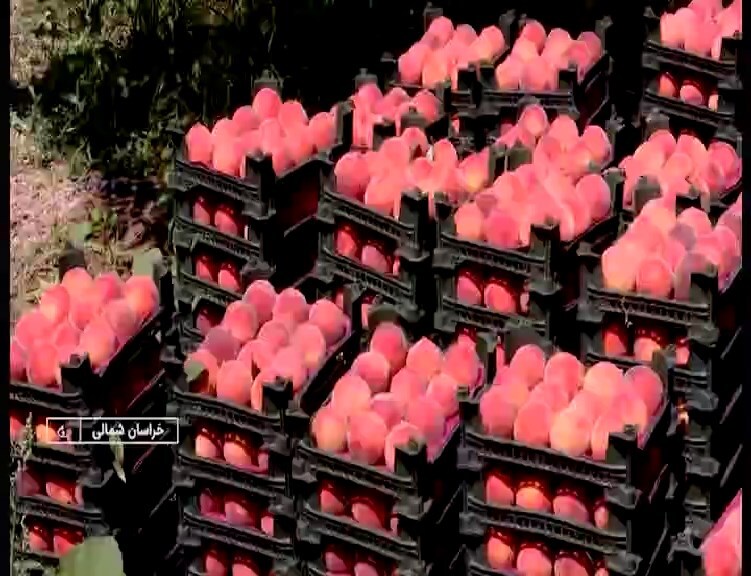 پیام خراسان