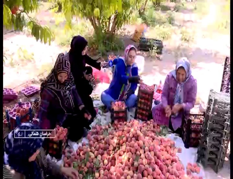 پیام خراسان
