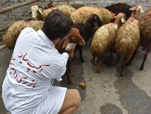 پیام خراسان