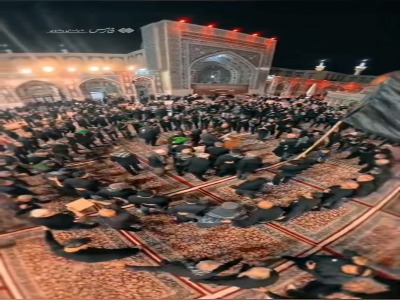 فیلم/ عزاداری بوشهری‌ها در حرم امام رضا(ع)
