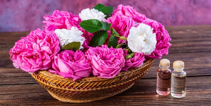 گلاب؛ از گل محمدی تا ترکیبات موثر دارویی