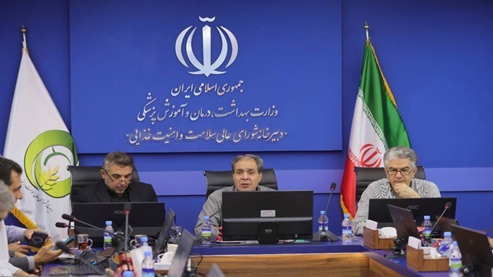 تأکید بر هم‌افزایی بین‌بخشی برای استقرار نظام ارجاع
