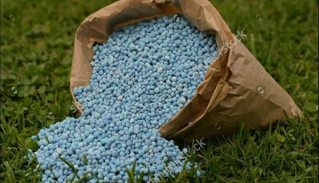 ۴۰.۵ هزار تن کود شیمیایی میان کشاورزان خراسان شمالی توزیع شد
