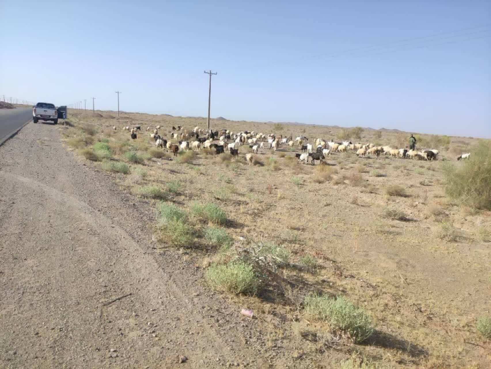 پیام خراسان