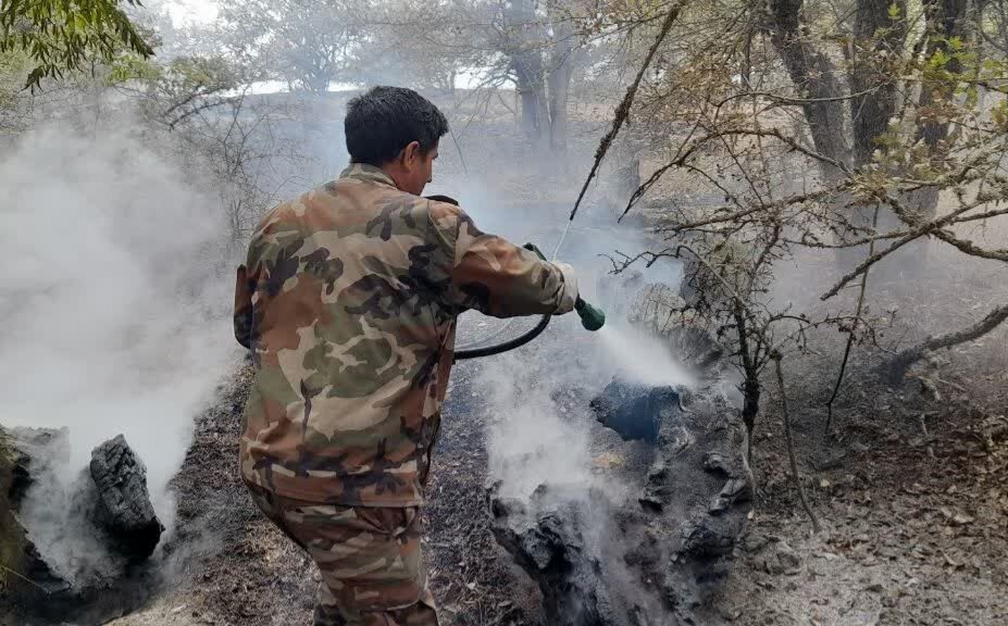 محیط‌بانان خراسان شمالی برای مهار حریق پارک ملی گلستان اعزام شدند