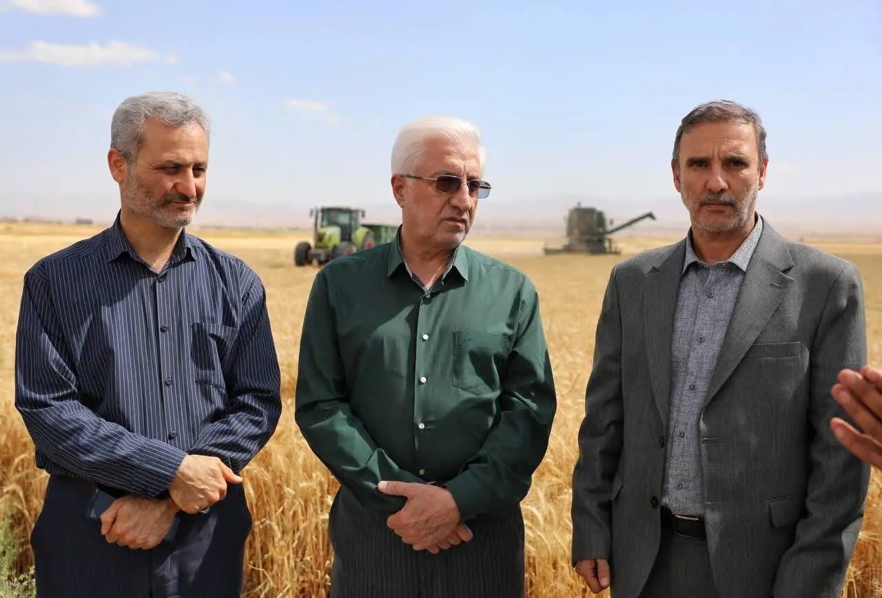 استاندار: پیگیر پرداخت ۴ هزار و ۸۰۰ میلیارد تومان مطالبات گندم‌کاران هستیم