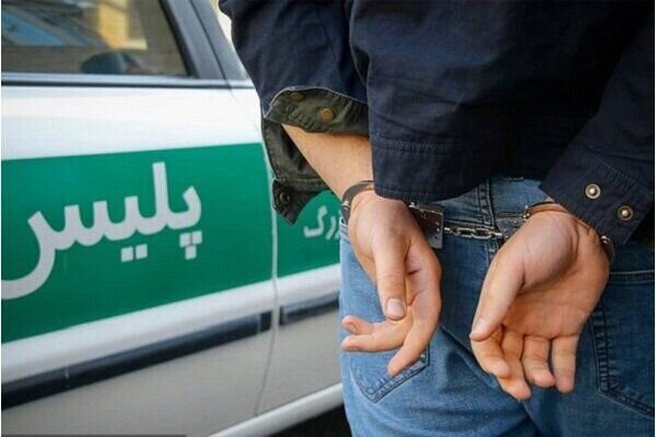 کشف ۱۰ فقره سرقت باغ ویلاهای حاشیه کلانشهر مشهد