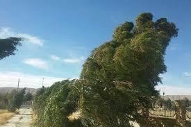 تداوم وزش باد شدید و گردوخاک در استان تا اوایل هفته آینده