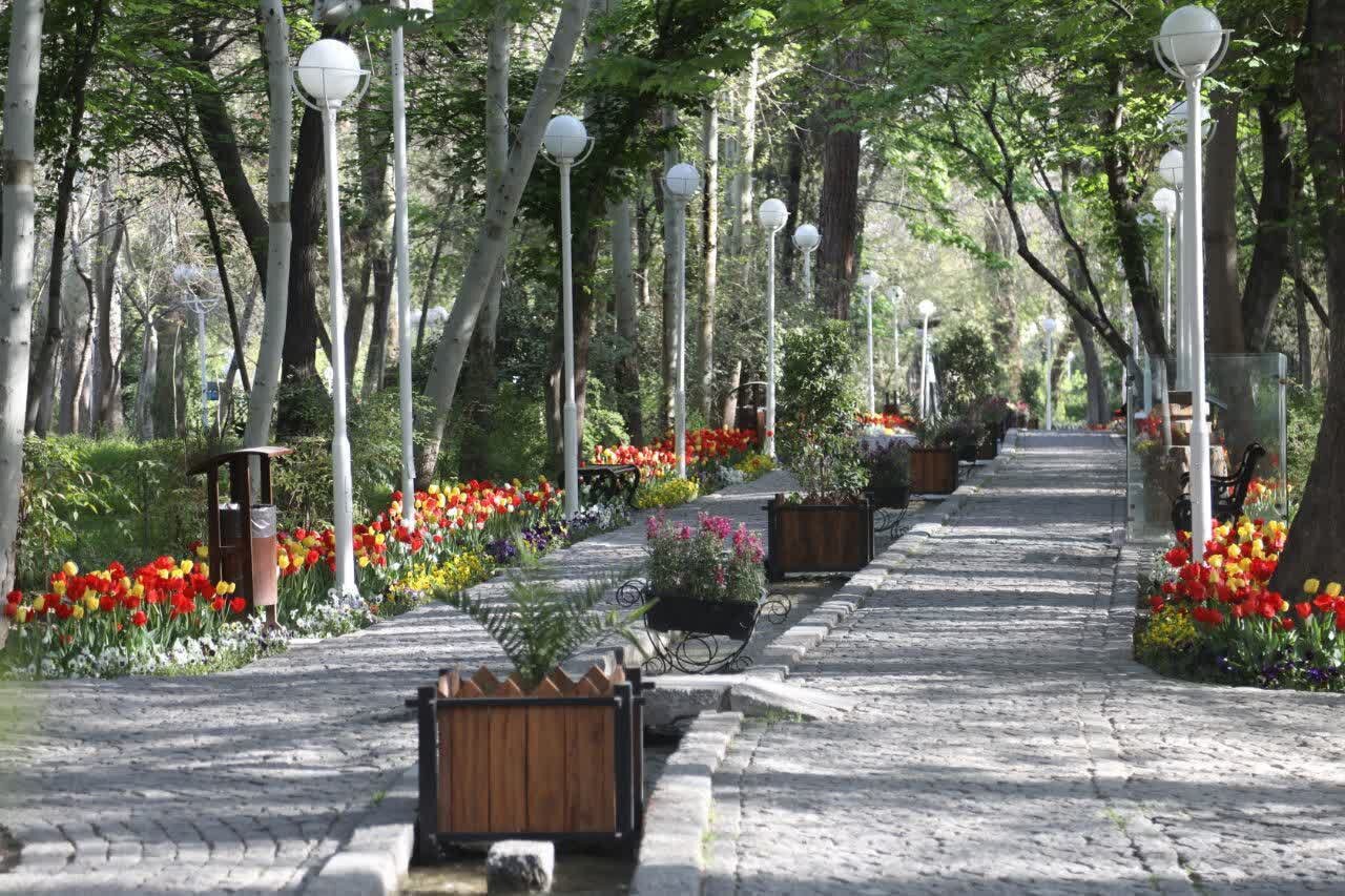 دمای هوای مشهد امشب به ۲۰ درجه می رسد