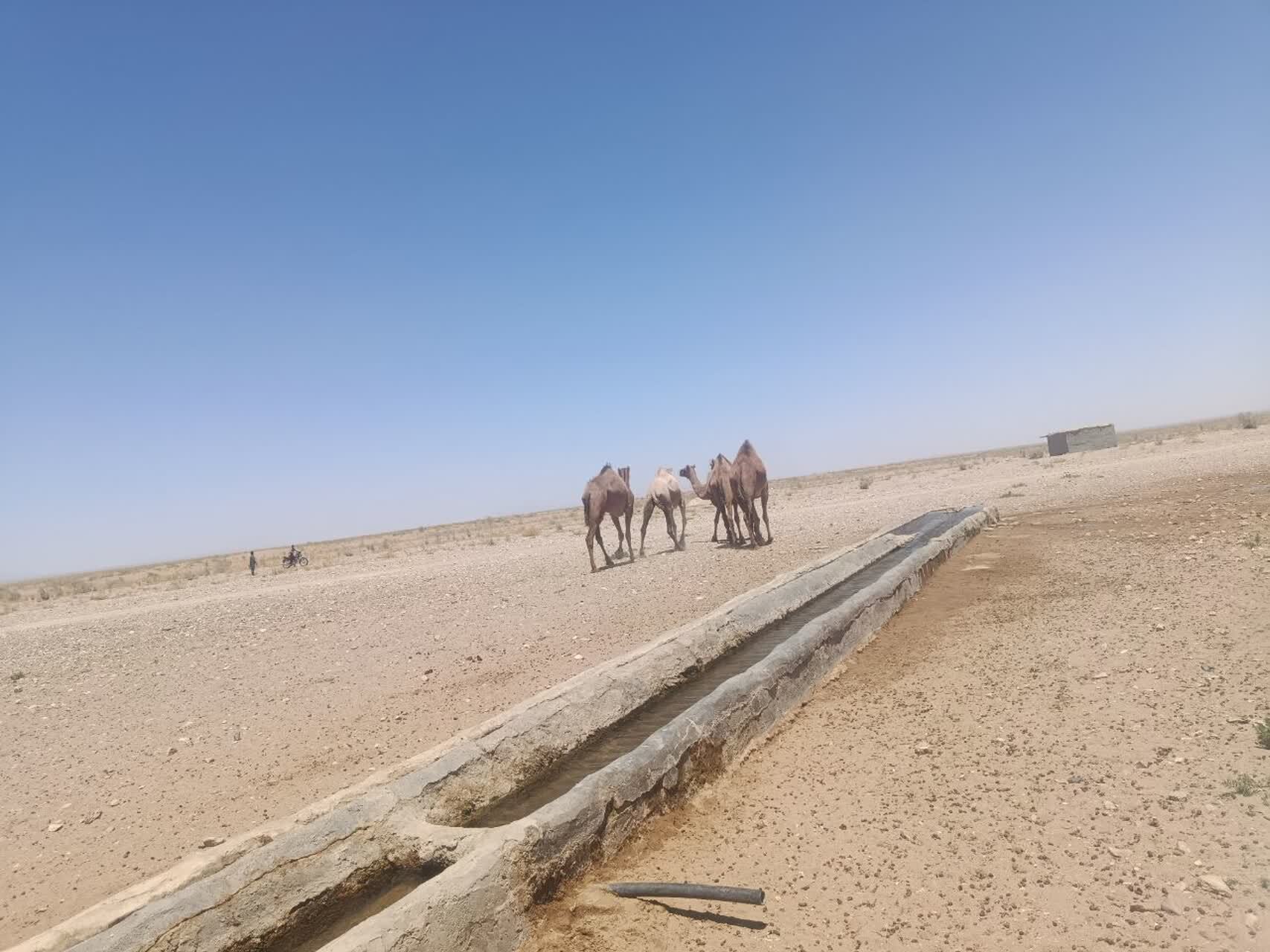پیام خراسان