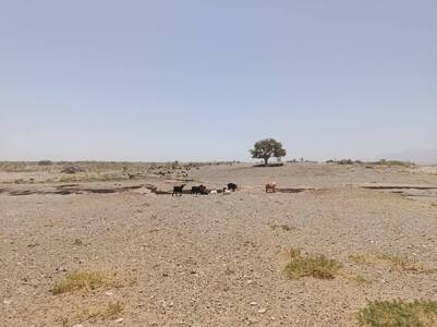 پیام خراسان