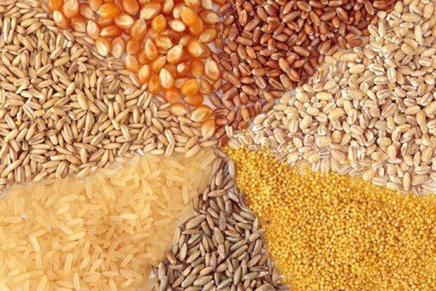 توزیع ۳۶۵ هزار تن نهاده دامی در خراسان شمالی
