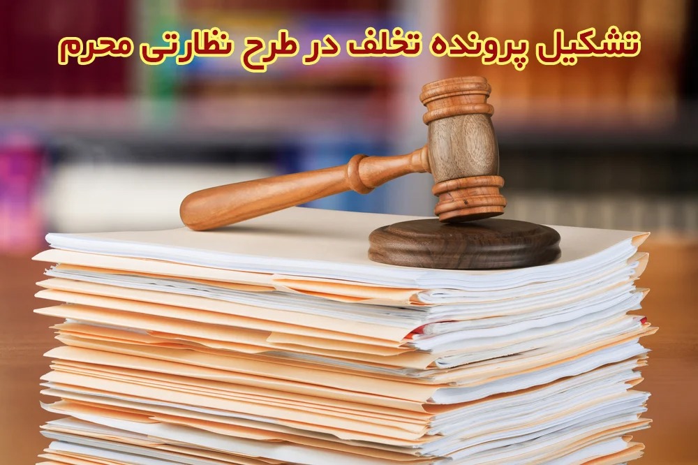 شناسایی ۲۴ واحد متخلف در طرح نظارتی محرم و صفر تعزیرات حکومتی خراسان جنوبی
