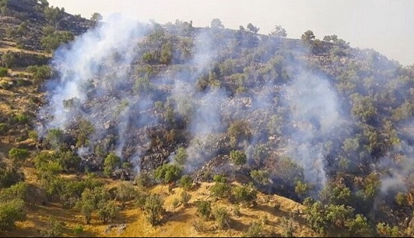 دستگیری عامل آتش سوزی عمدی جنگل های کمربندی شرقی ایلام | آخرین خبر