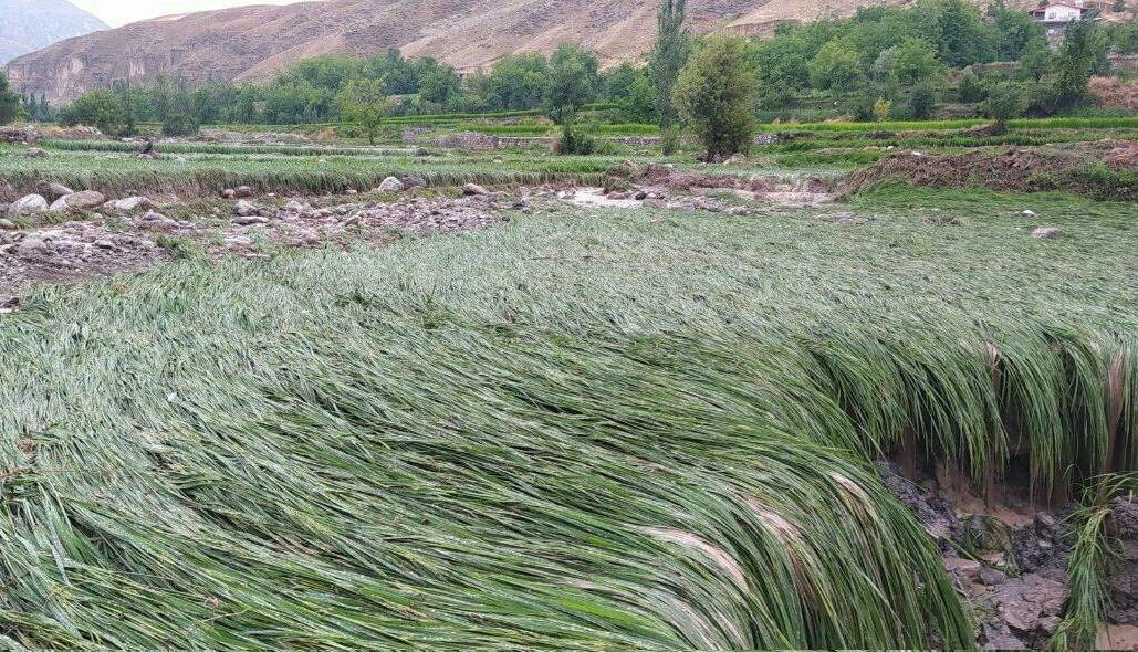 سیل به مناطق روستایی کلات و درگز خراسان رضوی خسارت زد | آخرین خبر