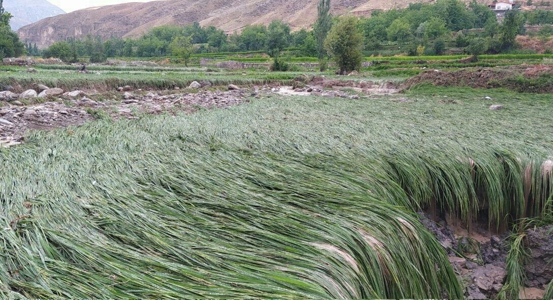 خسارت سیل به مناطق روستایی کلات و درگز در خراسان رضوی