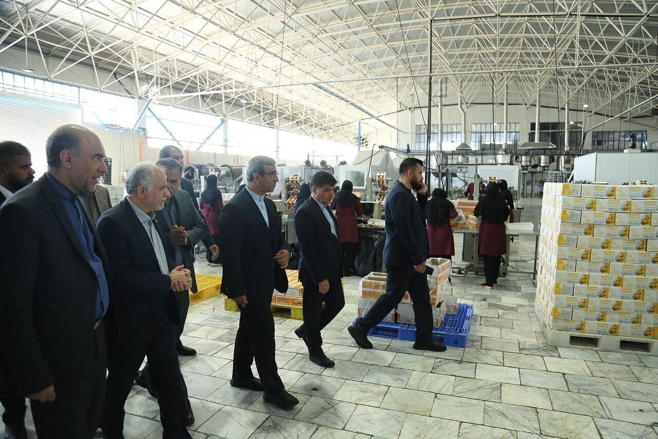 وزیر دادگستری: لزوم تشکیل قرارگاه‌های نظارتی برای مبارزه با احتکار وگرانفروشی