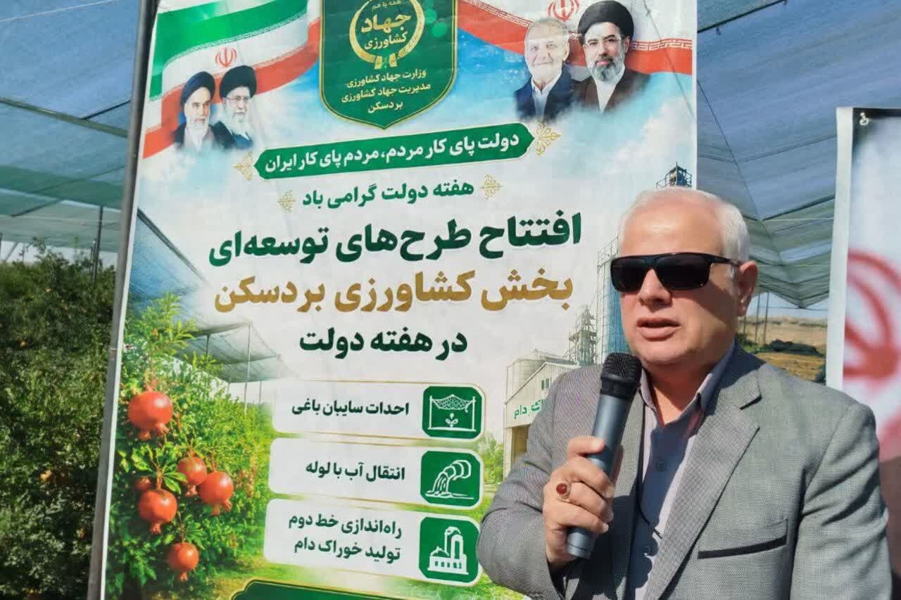 تولید غلات در خراسان رضوی ۴۳ درصد افزایش یافته است