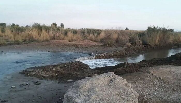 عزم ملی برای احیای تالاب بندعلی‌خان؛ ۲۹ میلیون مترمکعب حق‌آبه روانه دشت ورامین شد | آخرین خبر