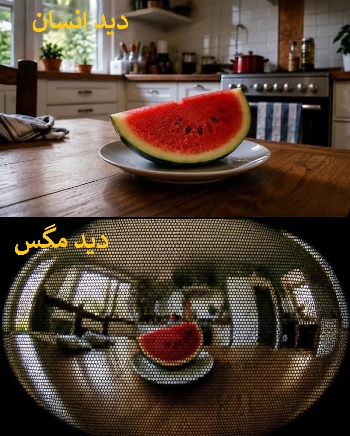 پیام خراسان