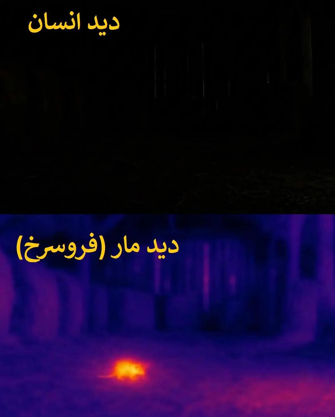 پیام خراسان
