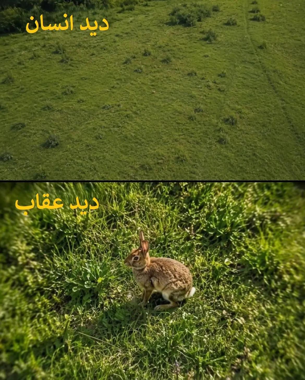 پیام خراسان