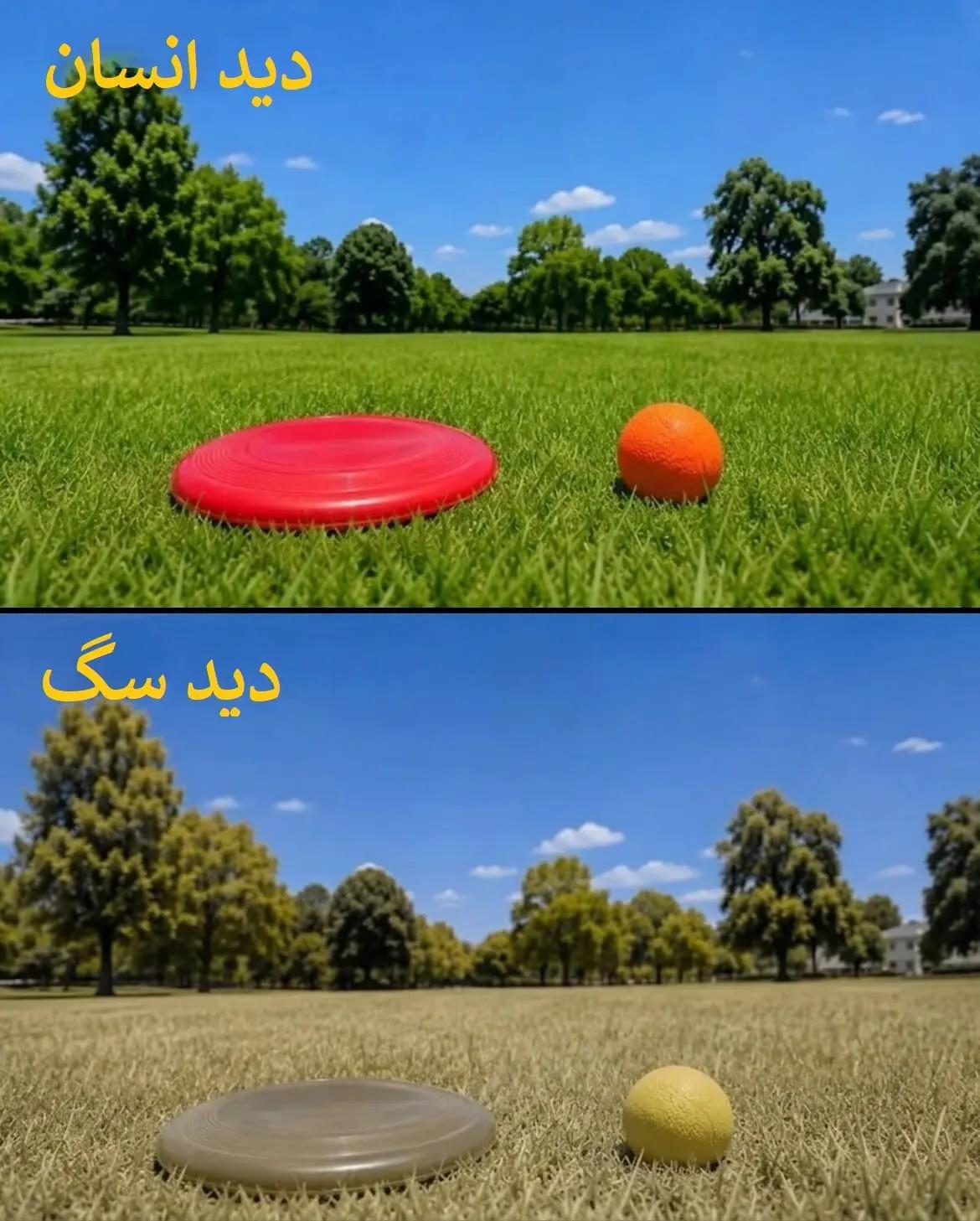 پیام خراسان