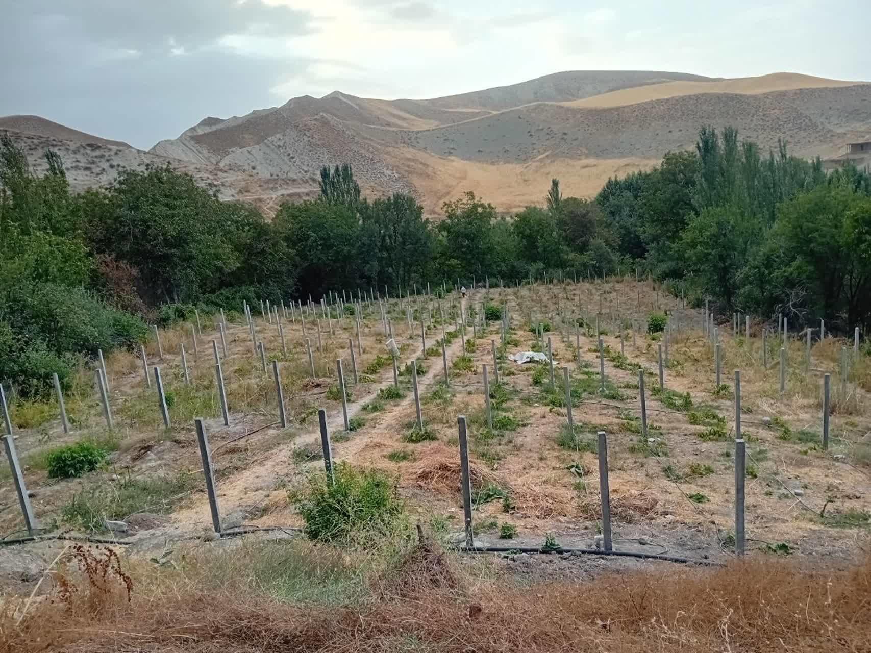 توسعه سرمایه‌گذاری برای ایجاد درآمد پایدار موقوفات در شهرستان کلات خراسان رضوی