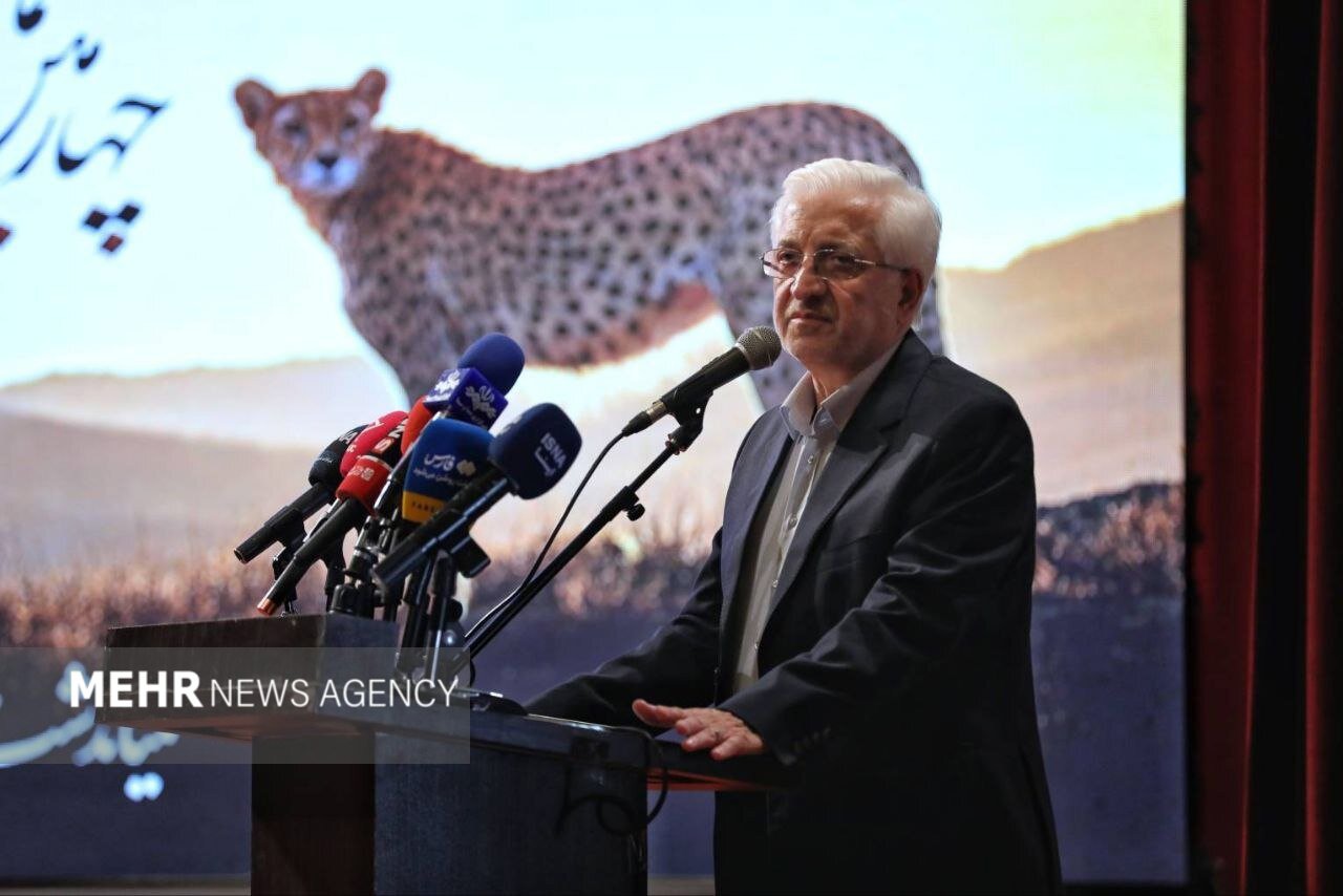 نوری: خراسان‌شمالی ظرفیت تبدیل شدن به زیستگاه امن حیات وحش را دارد