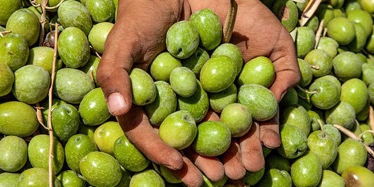 پیام خراسان