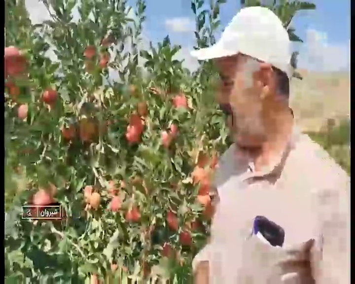 پیام خراسان