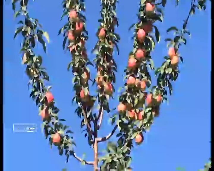 پیام خراسان