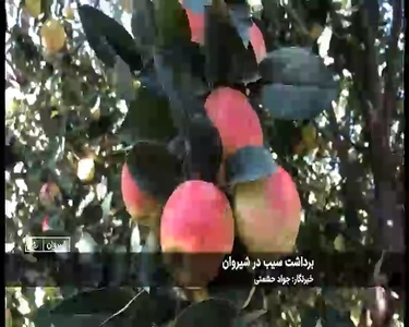 پیام خراسان
