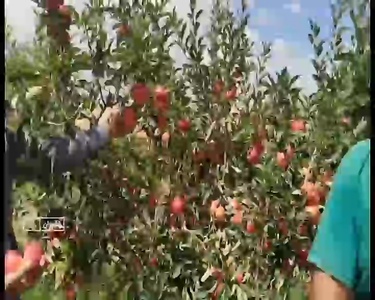 پیام خراسان