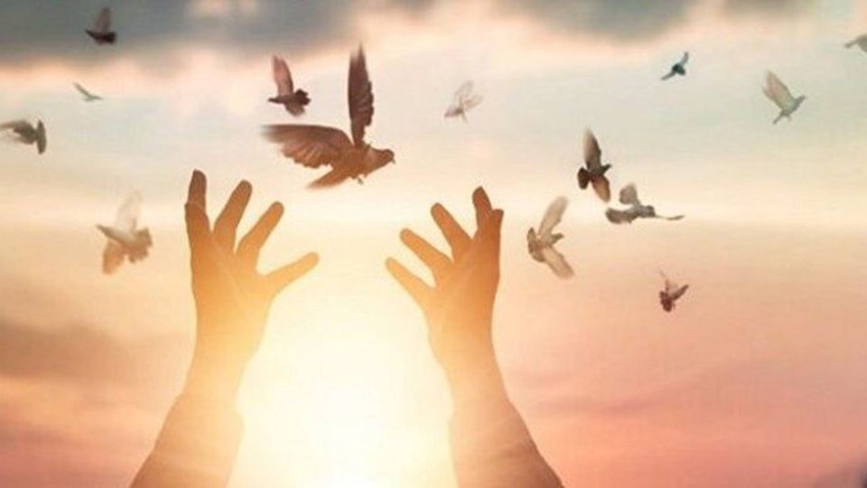 اهدای ۵۰۰ میلیون تومان برای آزادی زندانیان جرائم غیرعمد در نیشابور