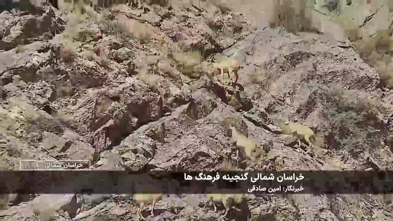 پیام خراسان
