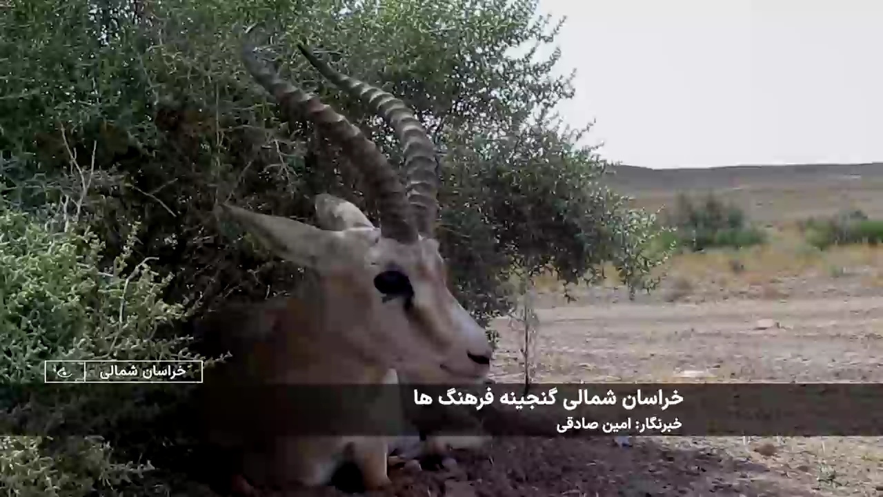 پیام خراسان