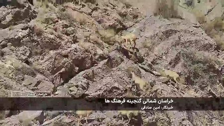 پیام خراسان