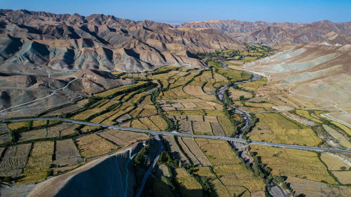 برداشت محصول از موقوفات کشاورزی شهرستان کلات خراسان رضوی