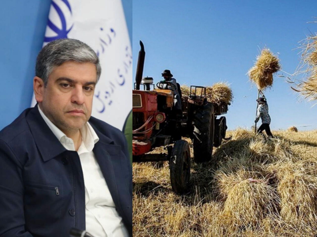 ۶۰ درصد مطالبات گندم‌کاران اردبیل پرداخت شد