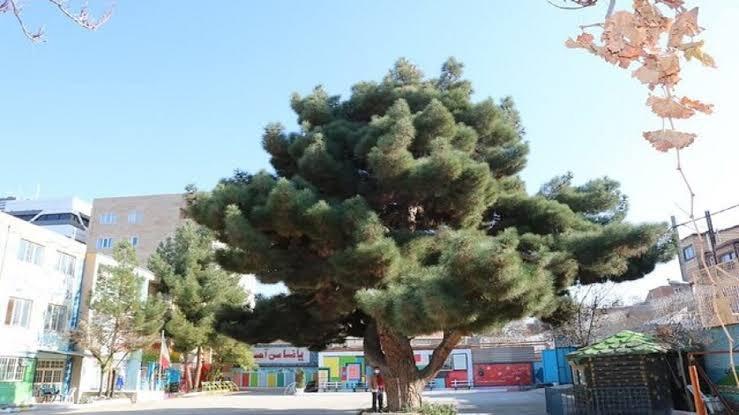 پیام خراسان
