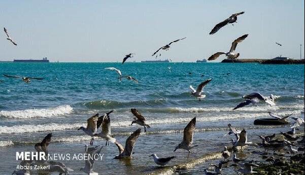 پیش‌بینی وضعیت جوی، دریایی و دمایی استان هرمزگان در روز جمعه ۳ مهرماه