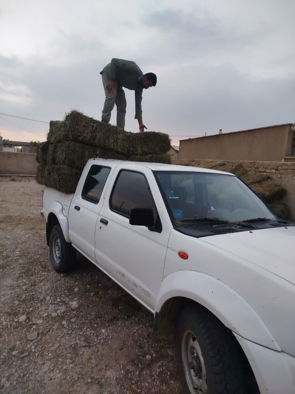 پیام خراسان
