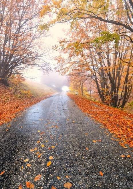 آغاز بارش‌های پاییزی در ایران