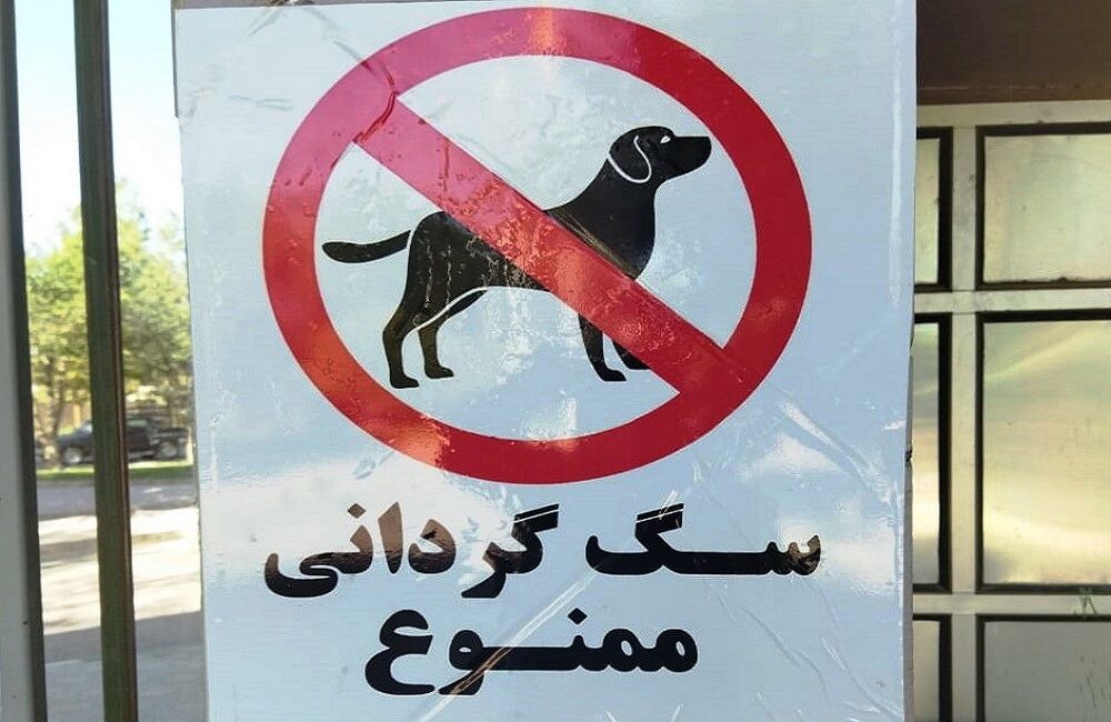 درگیری بر سر سگ‌گردانی، به قتل در سعادت‌آباد ختم شد