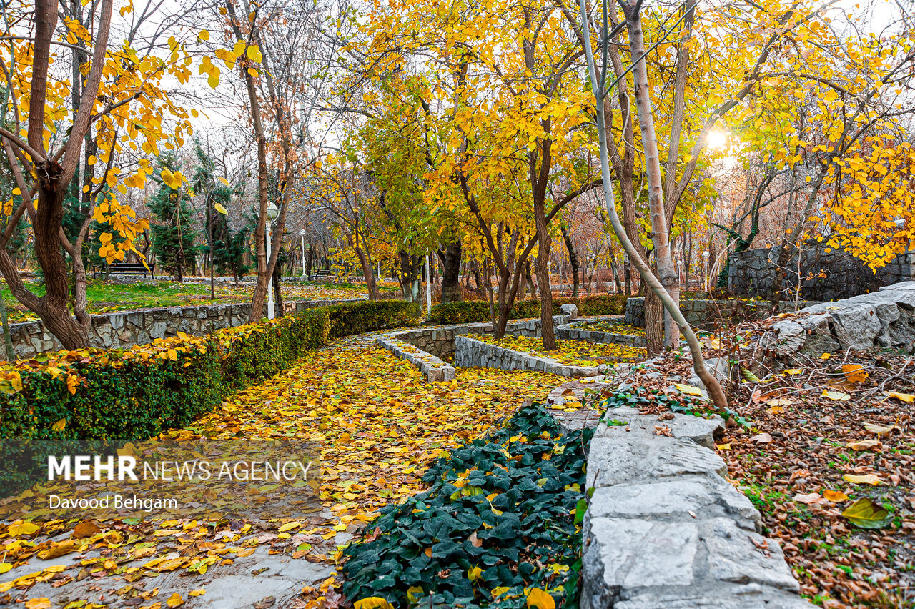 باران در راه است؛ هوای خنک پاییزی مهمان خراسان رضوی