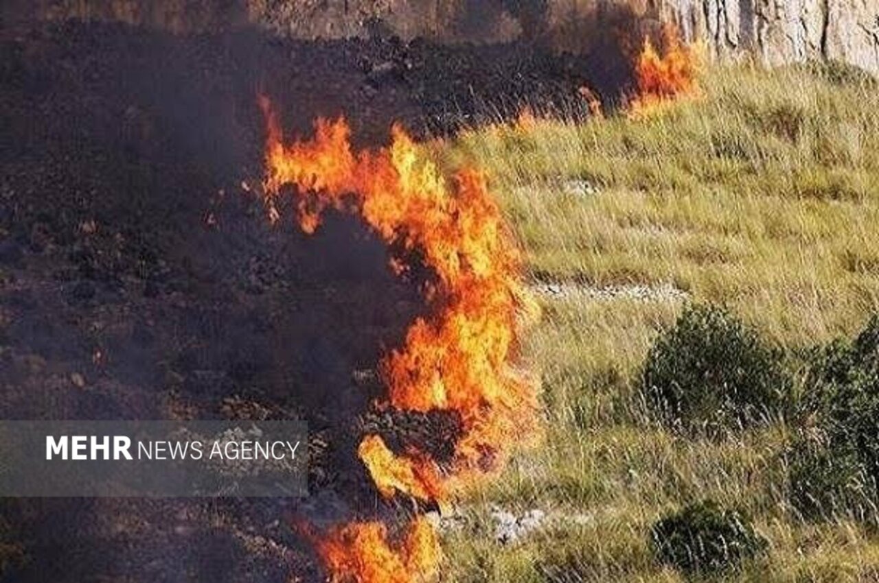 آتش‌سوزی در مراتع مجاور منطقه شکار ممنوع سالوک مهار شد