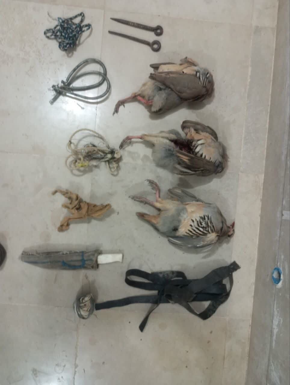 پیام خراسان
