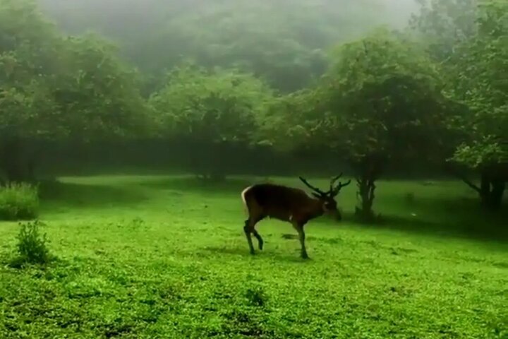 پیام خراسان