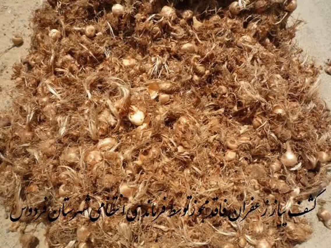 کشف یک تن و ۳۰۰ کیلوگرم پیاز زعفران فاقد مجوز حمل در فردوس خراسان جنوبی
